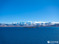 High-altitude lake draws visitors to SW China's Xizang
