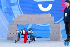 Humanoid robots of ＂Chucai＂ series displayed in Wuhan