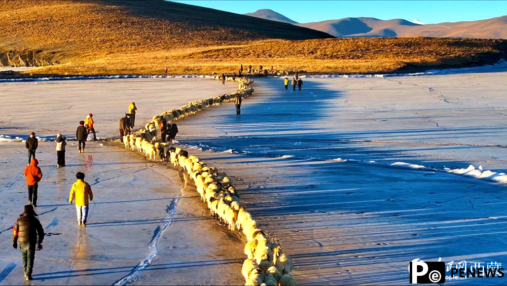 Stunning view of sheep herding on ice in SW China