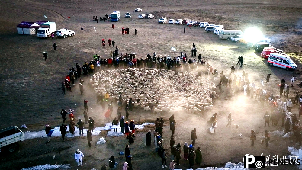 Stunning view of sheep herding on ice in SW China