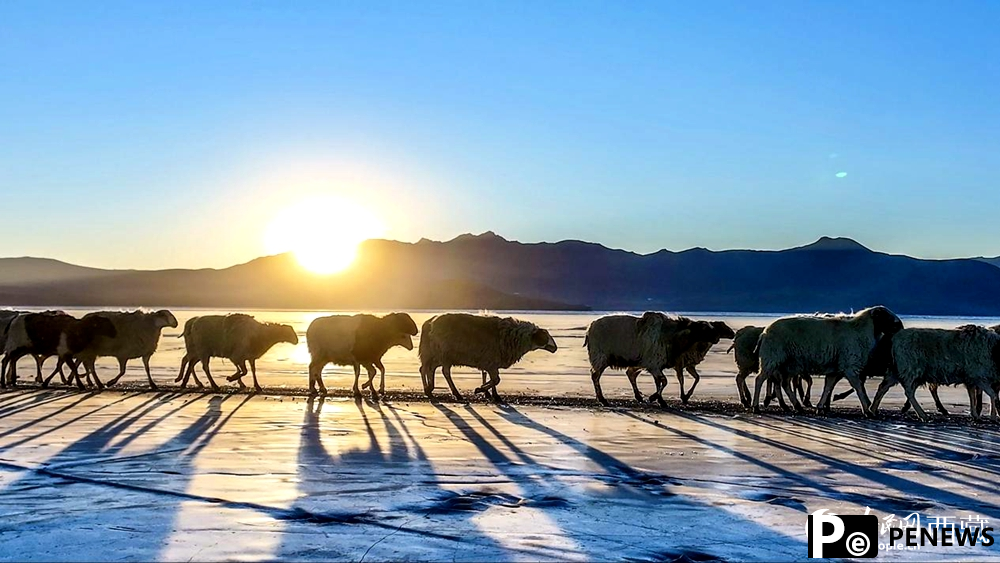 Stunning view of sheep herding on ice in SW China