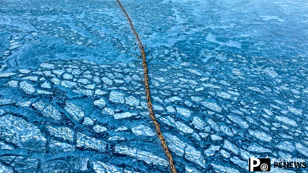 Stunning view of sheep herding on ice in SW China