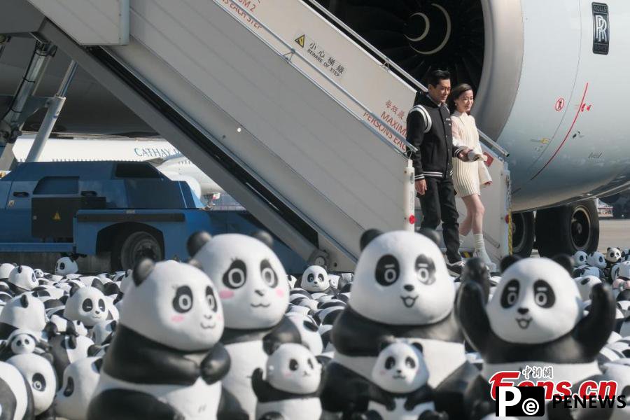 Hong Kong to display 2,500 panda sculptures