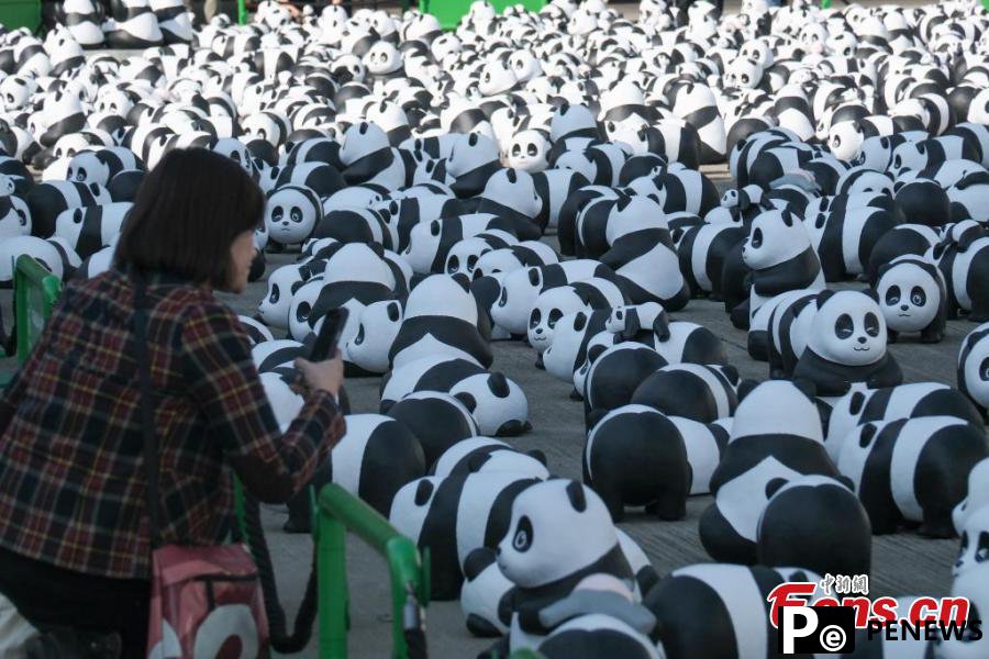 Hong Kong to display 2,500 panda sculptures