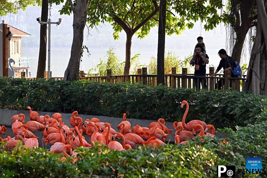 View of Xinghu Scenic Area in China