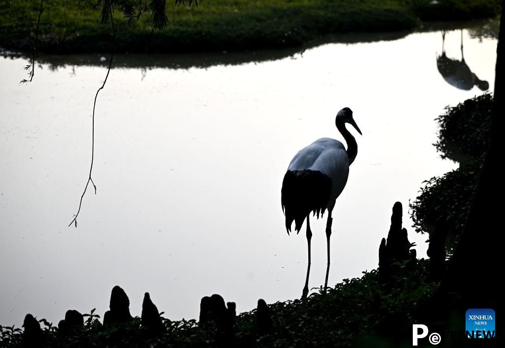 View of Xinghu Scenic Area in China