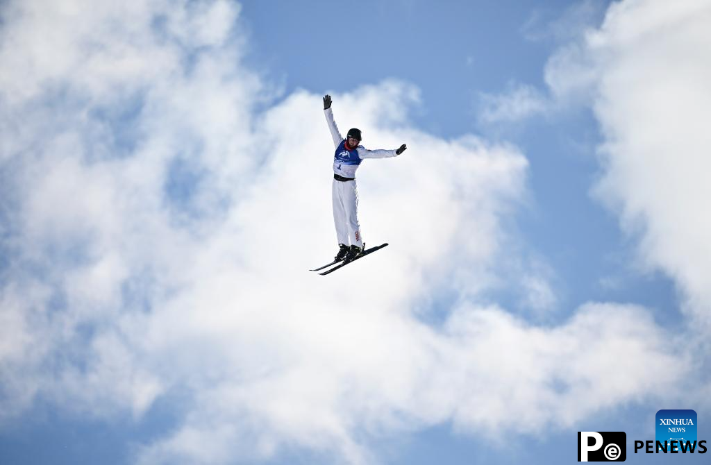 Asian Winter Games: Freestyle Skiing men