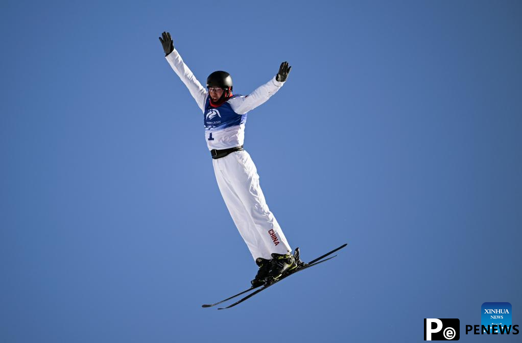 Asian Winter Games: Freestyle Skiing men
