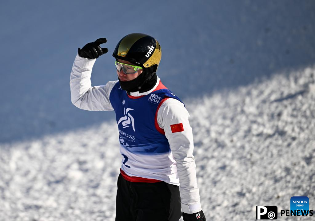 Asian Winter Games: Freestyle Skiing men