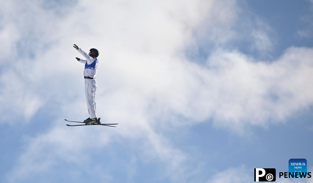 Asian Winter Games: Freestyle Skiing men