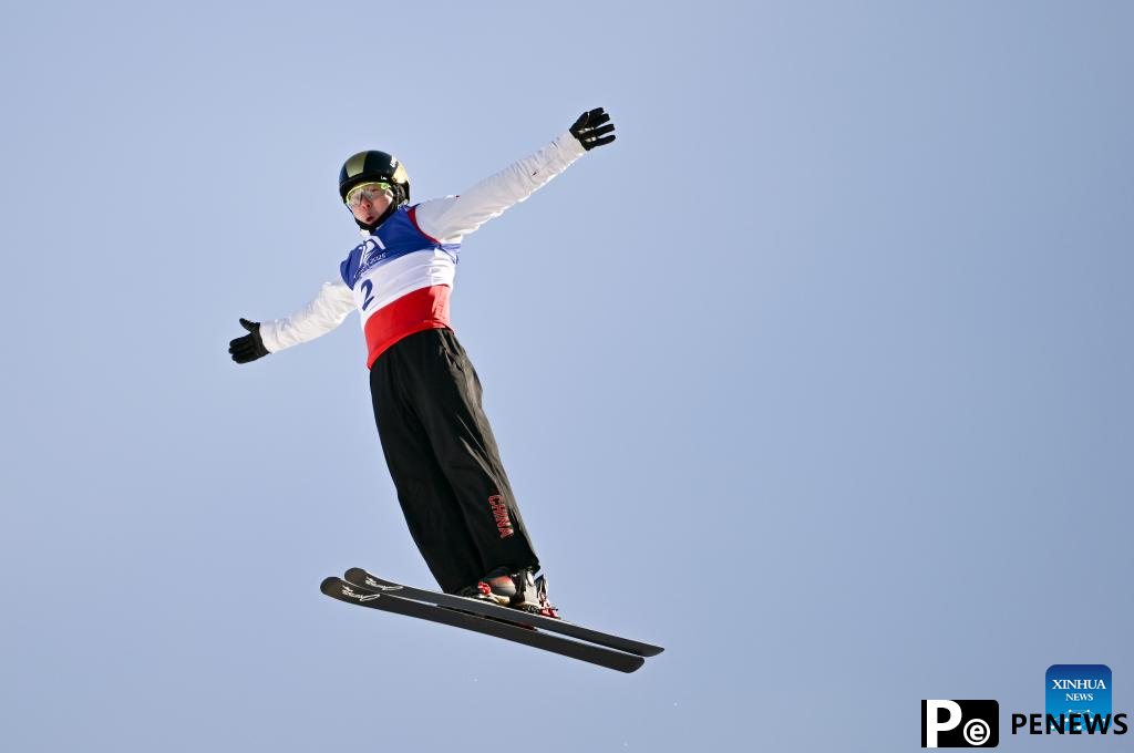 Asian Winter Games: Freestyle Skiing men