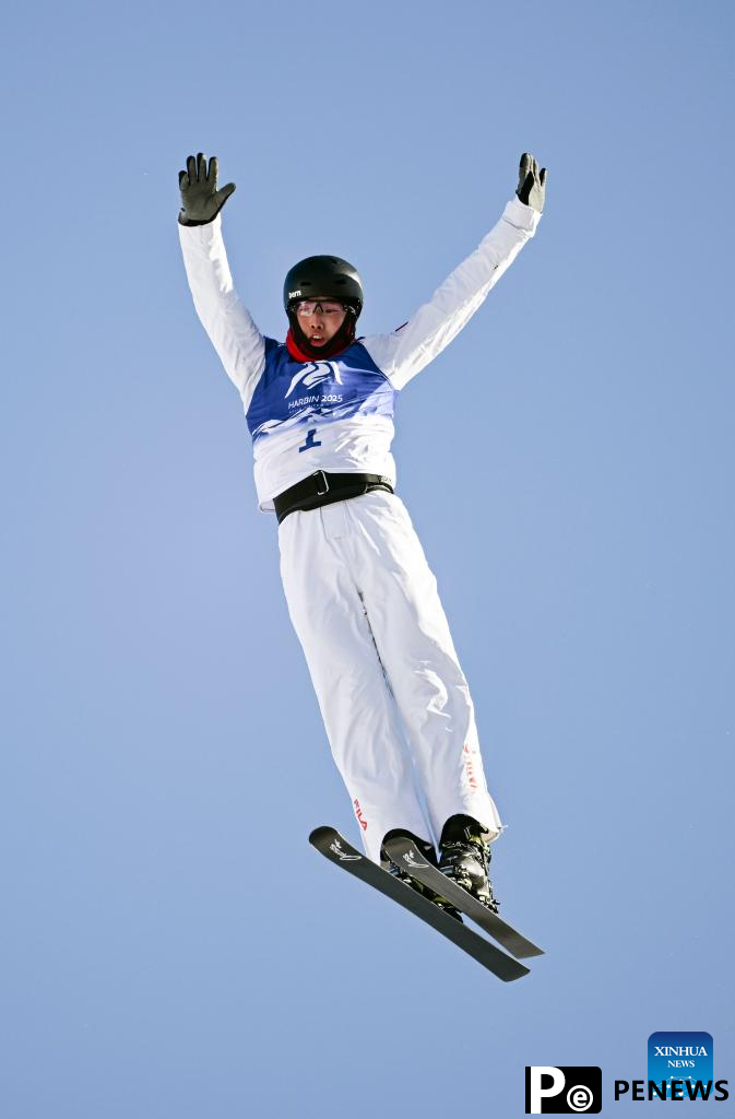 Asian Winter Games: Freestyle Skiing men