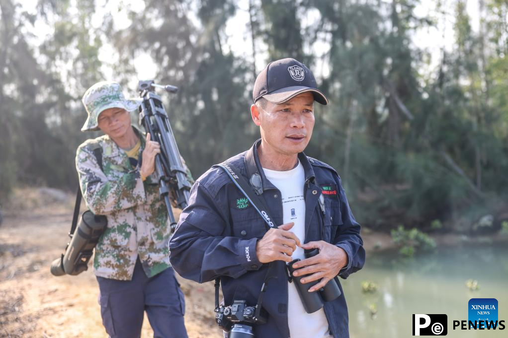 Pic story: forest ranger protects endangered birds in S China