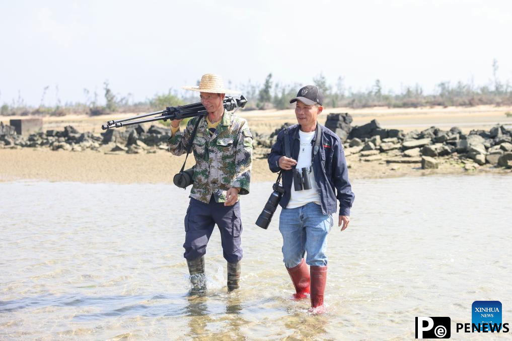 Pic story: forest ranger protects endangered birds in S China