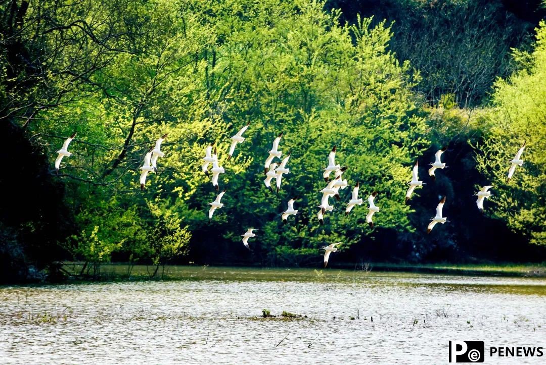 SE China
