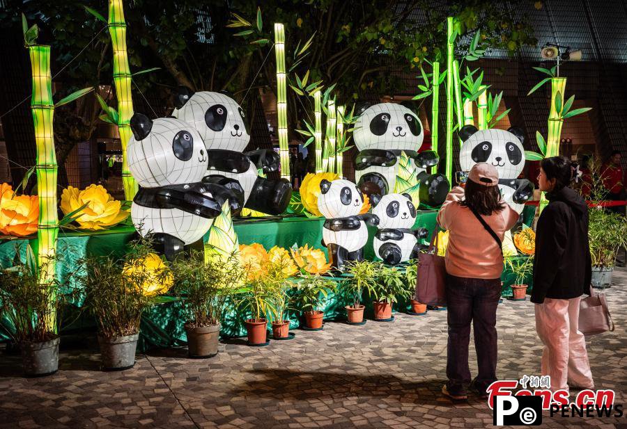 Dazzling lanterns displayed ahead of festival in Hong Kong