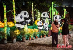 Dazzling lanterns displayed ahead of festival in Hong Kong