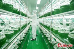 World's largest astaxanthin production base in Yunnan