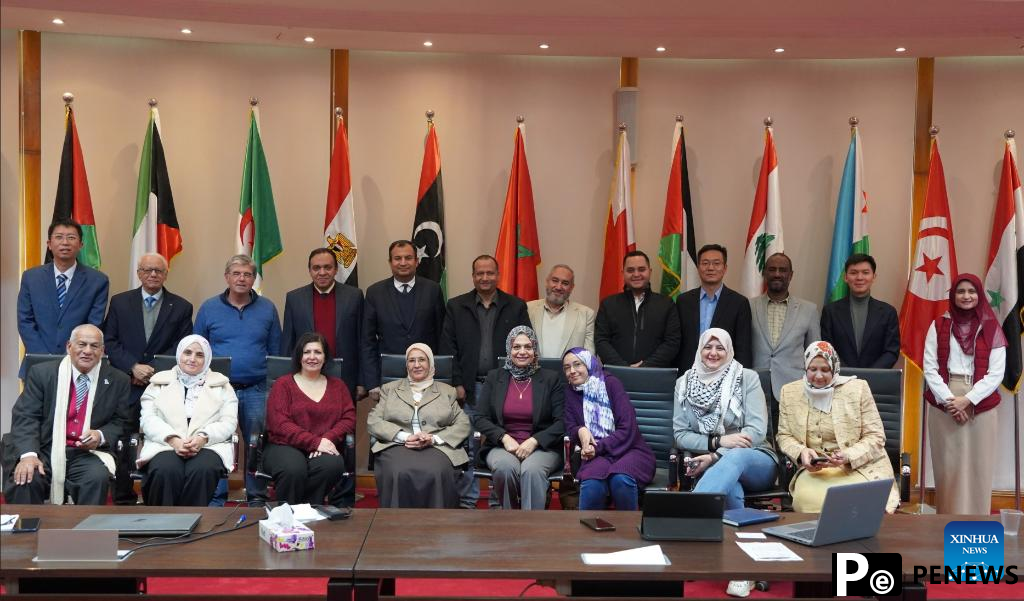 Chinese, Arab experts hold workshop on new energy storage