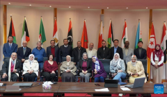 Chinese, Arab experts hold workshop on new energy storage