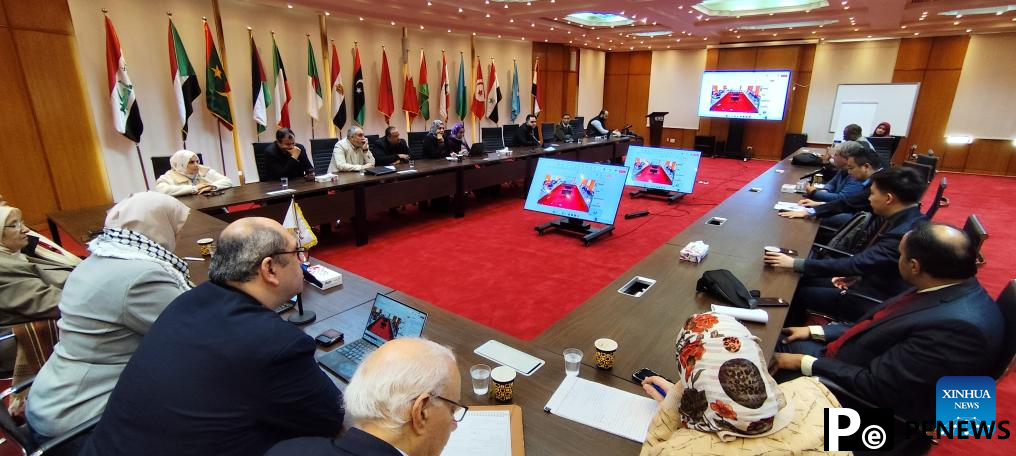 Chinese, Arab experts hold workshop on new energy storage