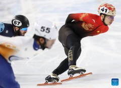 In pics: men's 1500m quarterfinal match of short track speed skating at 9th Asian Winter Games