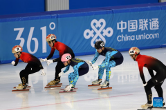 In pics: mixed 2000m relay semifinal match of short track speed skating at 9th Asian Winter Games