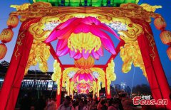 Stunning lanterns greet Spring Festival in Nanjing