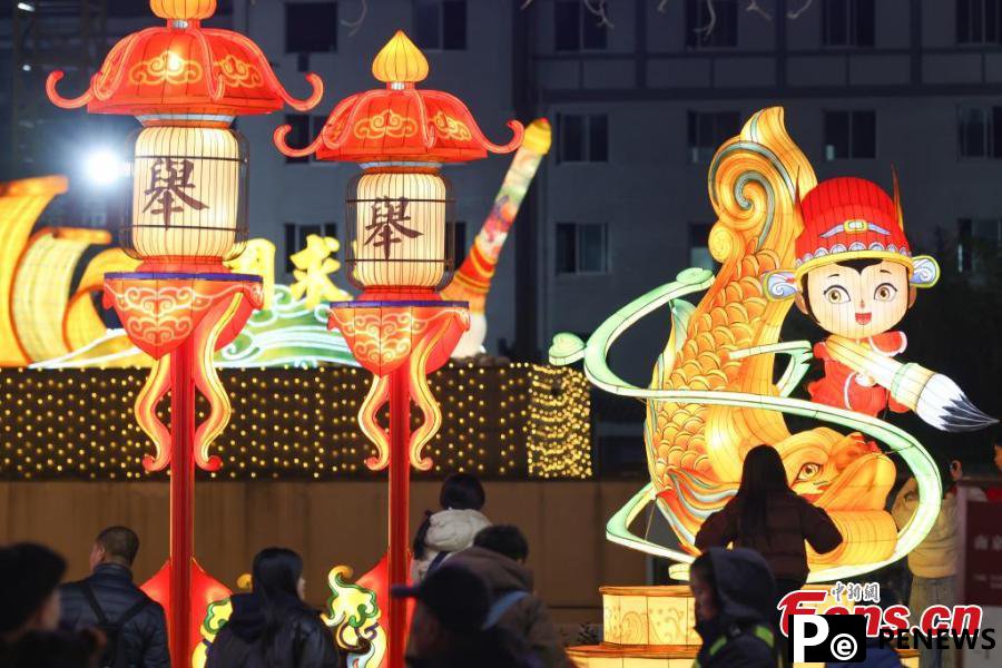Stunning lanterns greet Spring Festival in Nanjing