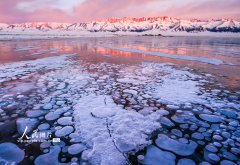 Xinjiang's Sayram Lake offers stunning winter scenery