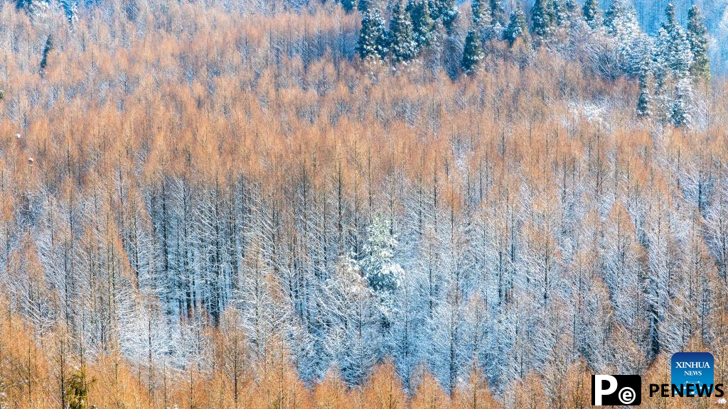 Snow scenery of Shanwangping Karst national ecological park in Chongqing