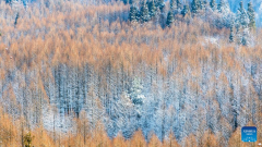 Snow scenery of Shanwangping Karst national ecological park in Chongqing