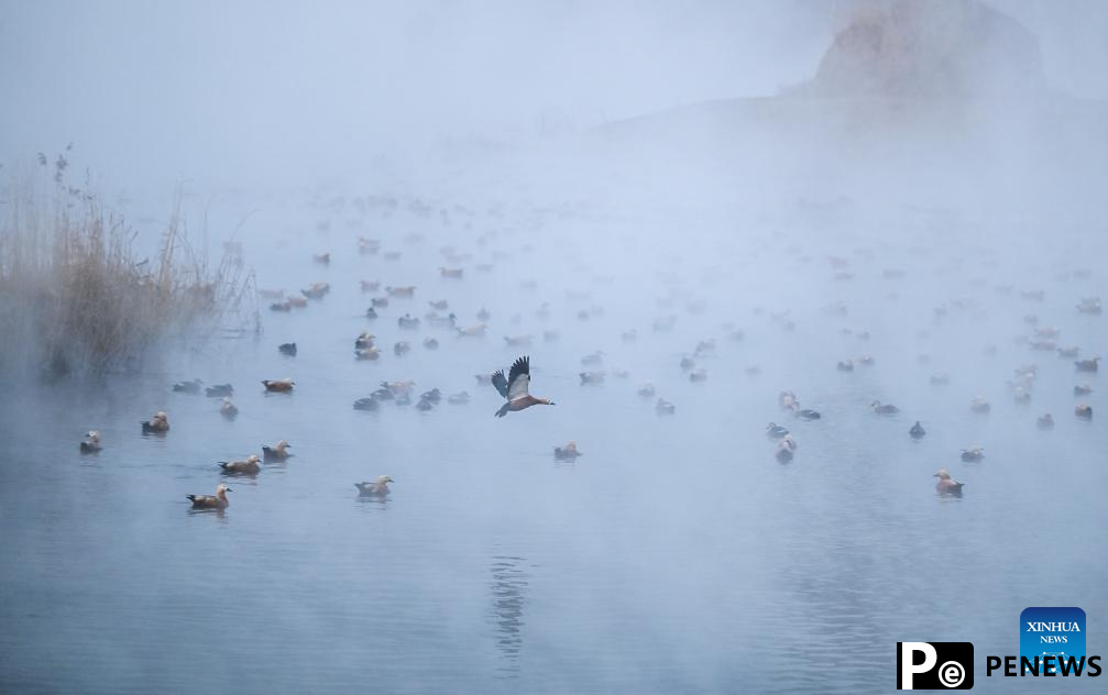 View of Dahei River country park in Hohhot, N China