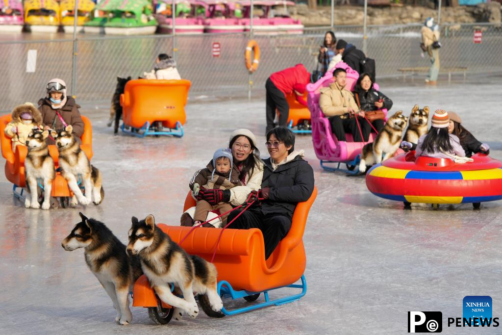 People have fun on ice rink at Tuanjiehu Park in Beijing