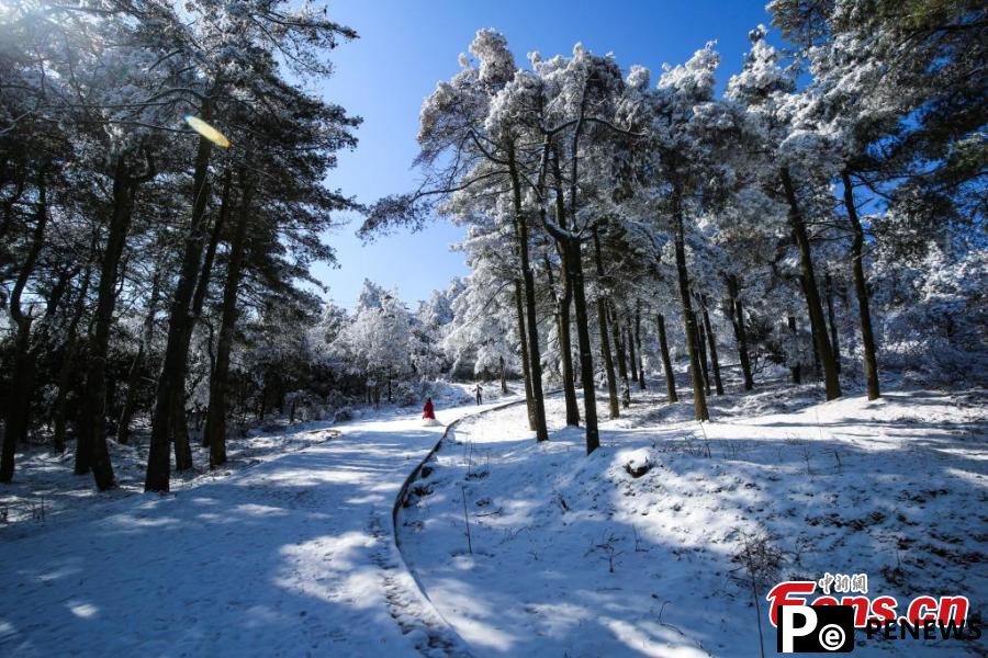 Rime creates fairyland in national forest park