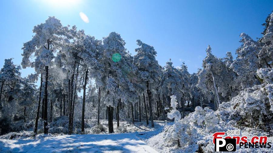 Rime creates fairyland in national forest park