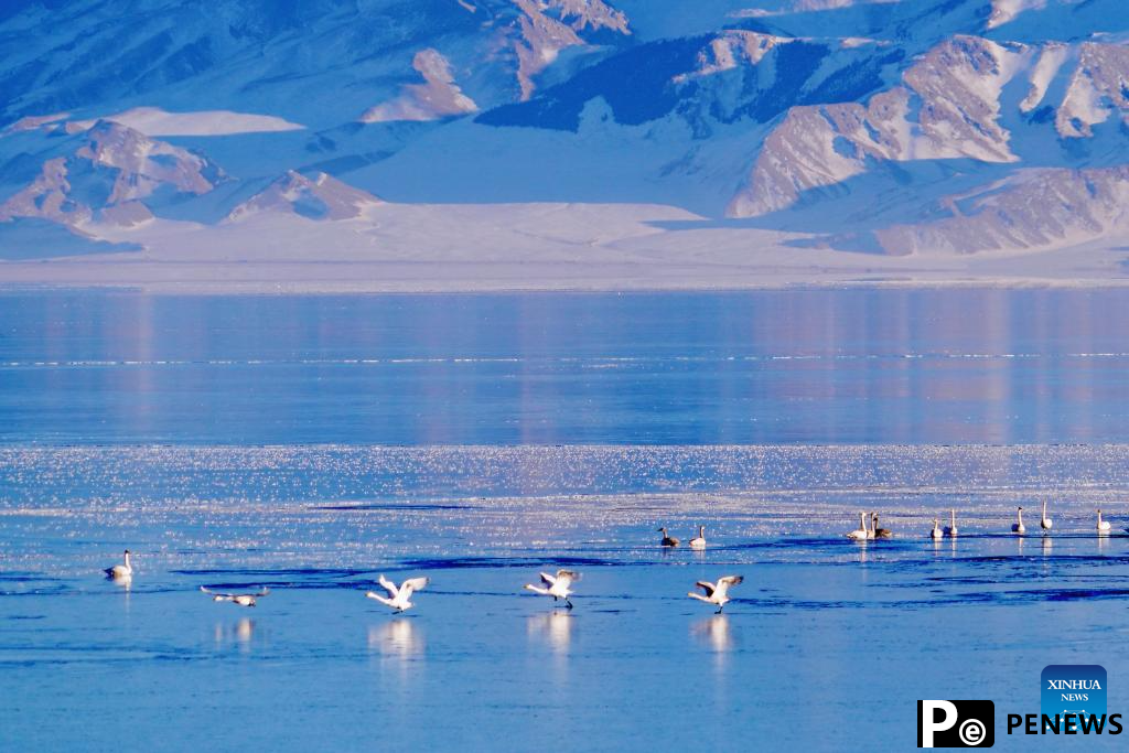 View of Sayram Lake in China