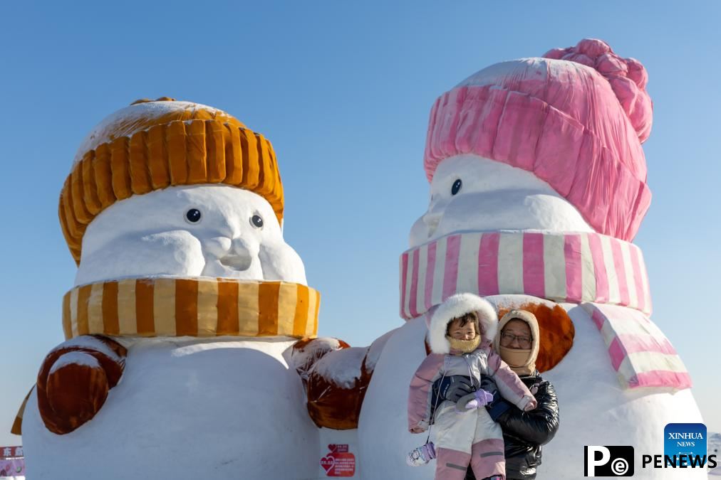 In pics: snow wonders in Harbin, NE China