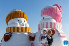 In pics: snow wonders in Harbin, NE China