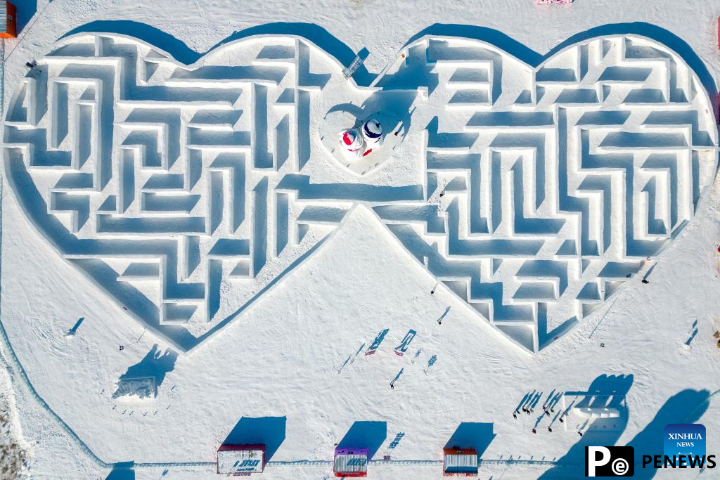 In pics: snow wonders in Harbin, NE China