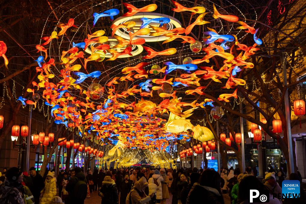 In pics: snow wonders in Harbin, NE China