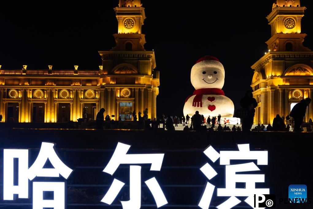 In pics: snow wonders in Harbin, NE China