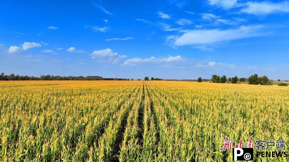 China steps up efforts to build digital twin systems in water conservancy sector