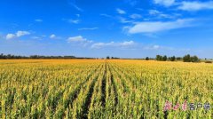 China steps up efforts to build digital twin systems in water conservancy sector