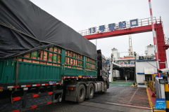 Ports in China's Haikou ensure efficient transportation of fresh agricultural products