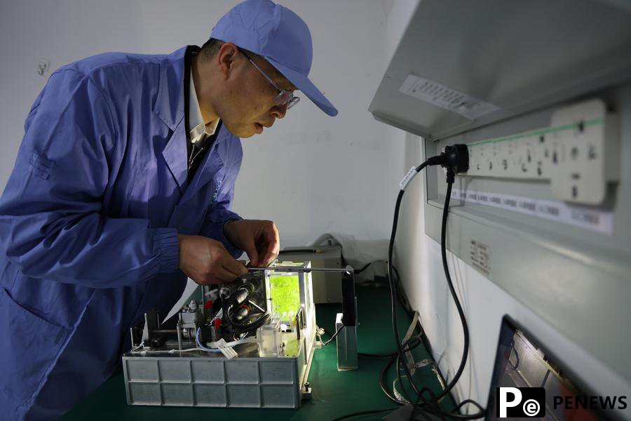 More zebrafish to swim in China