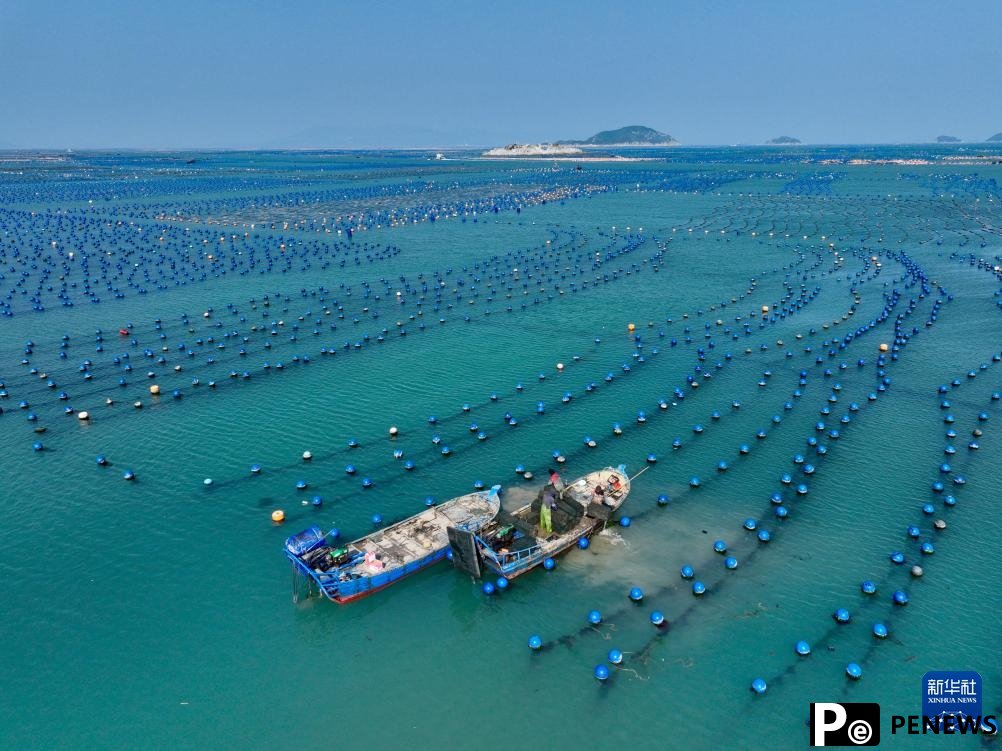 County in SE China