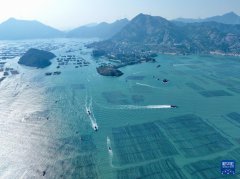 County in SE China's Fujian develops thriving fishing industry