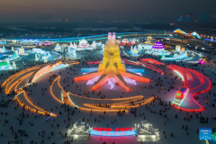 Harbin's New Spring: Asian Winter Games lights up the Ice City