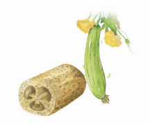 China's agricultural products gain popularity in overseas markets
